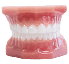 invisalign aligners on model